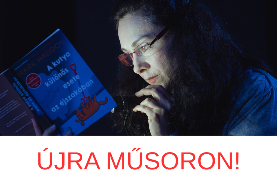 Čudná príhoda so psom uprostred noci znova na repertoári